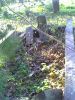 Bourland-Abigail-(Loving)-1866-AR-Franklin-TS-1