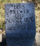 Brewer-Lois-(Smith)-18761127-IL-Bond-TS