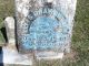 Butler-Elias-Gray--(Joshua-Daniel-Butler)--18660509-TN-Carroll-TS