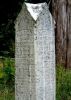 Dunn-Pharoah-(Altzora-(Dees))-1863-KY-Marshall-TS