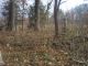 Hart-Sarah-(Hibbs)-18490623-KY-Webster-TS-3