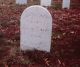 Hibbs-Mary-Rachel-(Bourland)-18461001-KY-Hopkins-TS