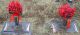 Hibbs-Sherry-Elizabeth-19750322-KY-McCracken-TS-2