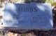 Hibbs-Valentine-K-(Petonia-H-(Dame))--(Jeremiah-Valentine-Hibbs)--KY-Hopkins-TS