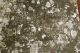Keith-Mary-(Laffoon)-18460213-SC-Pickens-TS-1