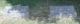 Lamb-David-N-(Cora-Elizabeth-(Utley))-KY-Hopkins-TS