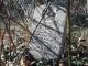 Osburn-Mary-L--(Isaac-Taylor-Osburn-Jr)--18740629-KY-Hopkins-TS