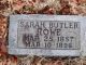 Rowe-Sarah-F-(Butler)-18960310-TN-Carroll-TS