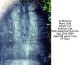 Sisk-Mary-Ann-(Littlepage)--(Timothy-Sisk)--18540930-KY-Hopkins-TS