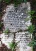 Smith-Mary-McConnell-(Davidson)-18420427-NC-Buncombe-TS-1