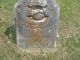 Spellings-James-Marshall--(Joshua-Daniel-Butler)--18280728-TN-Carroll-TS