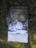 Woodruff-Martha-Elizabeth-(Phelps))--(Hiram-Woodruff)