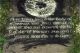 Yard-Isabella-(Miller)-(Lewis)-TS-1